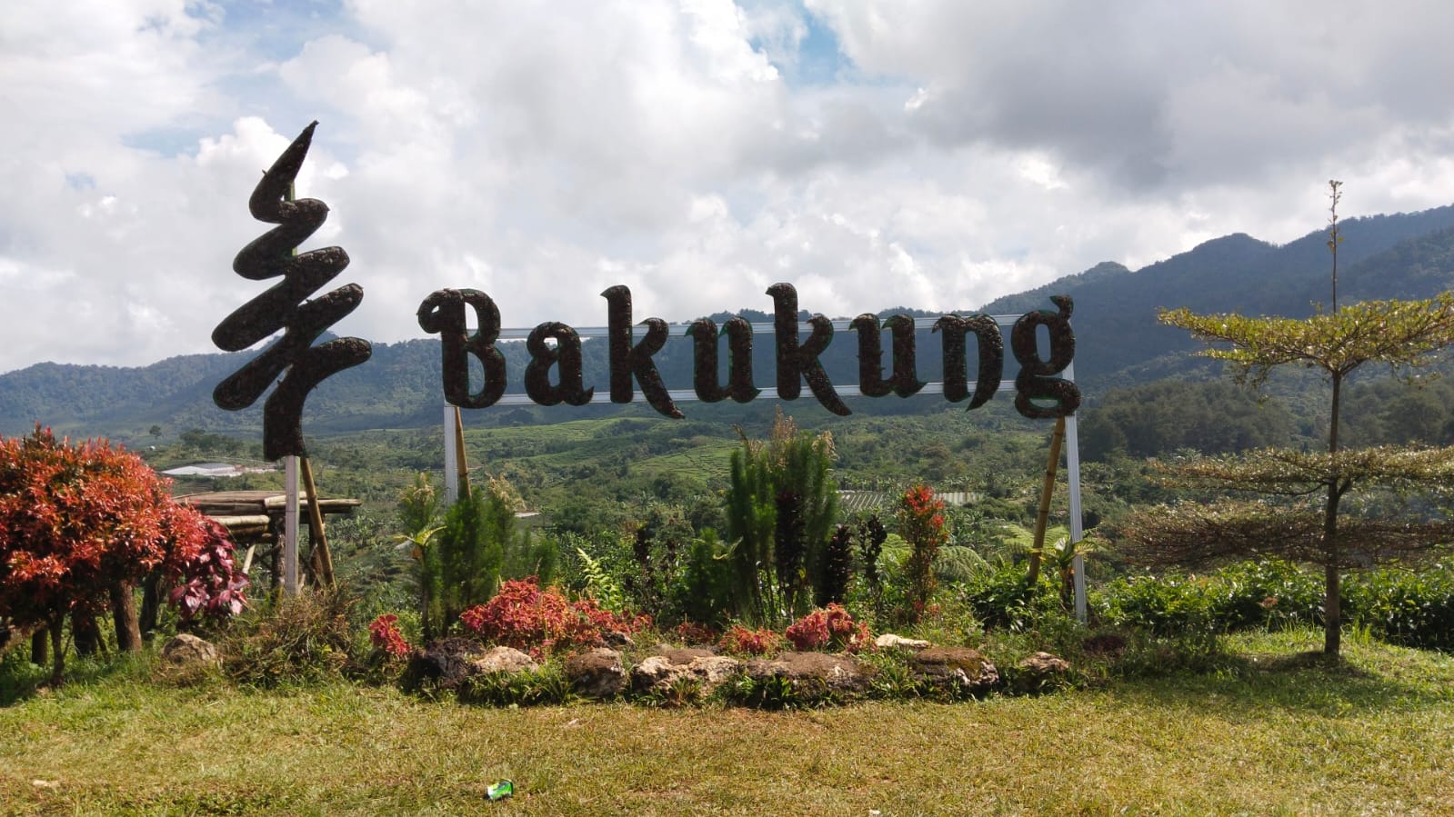 Bakukung