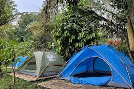 Buper Pinus Eco Park Camping Ground